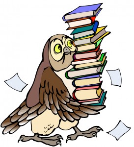 hibou pile de livres